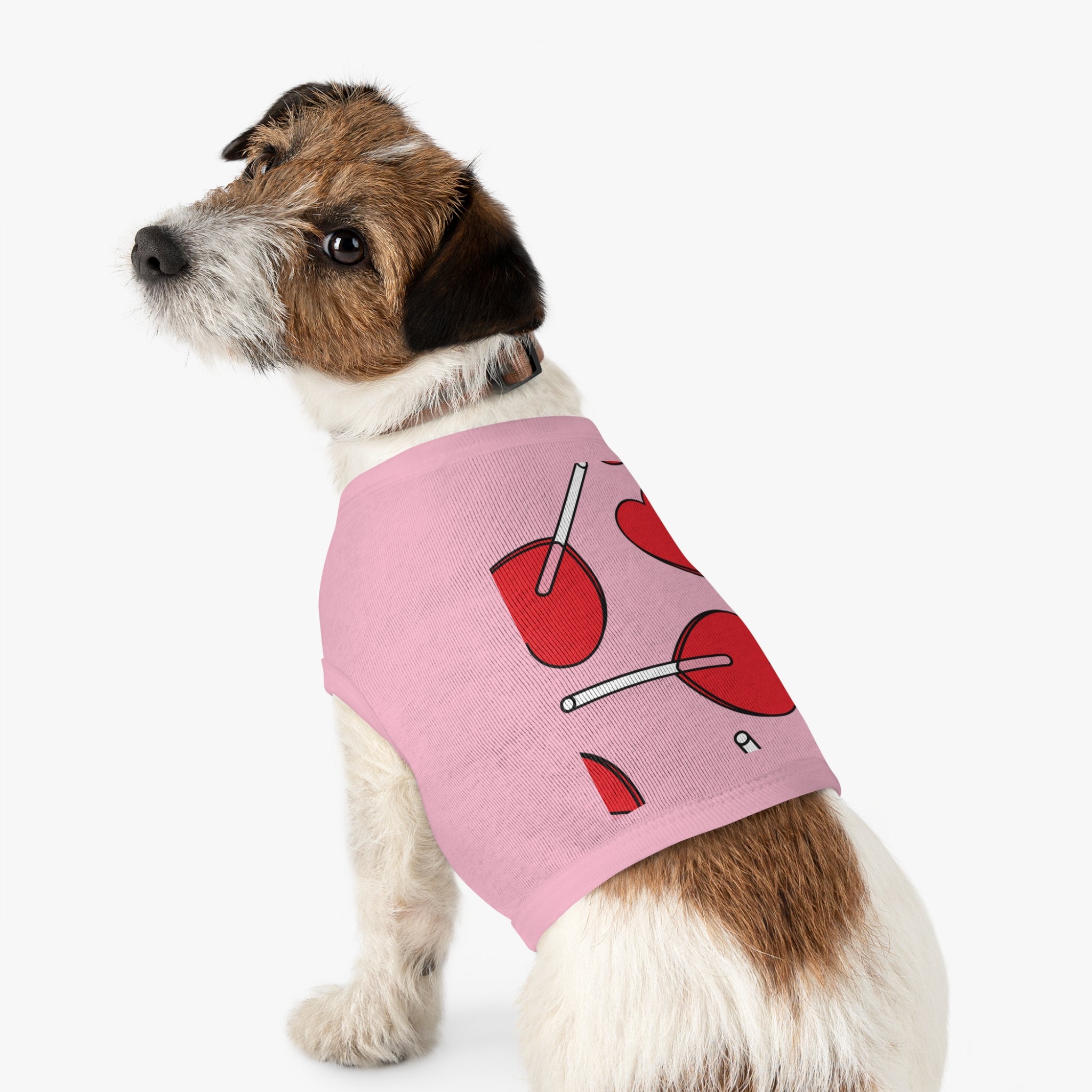 Valentine Heart Lollipop Pet Tank